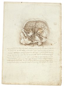 Anatomische tekening van Leonardo Da Vinci - Schedel